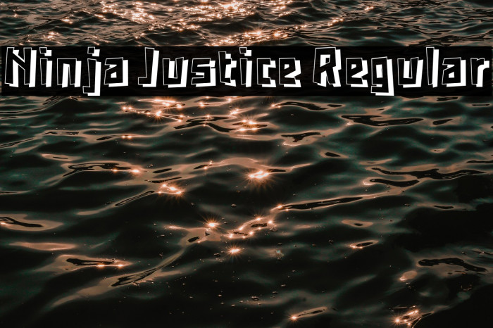 Ninja Justice Regular Example 2
