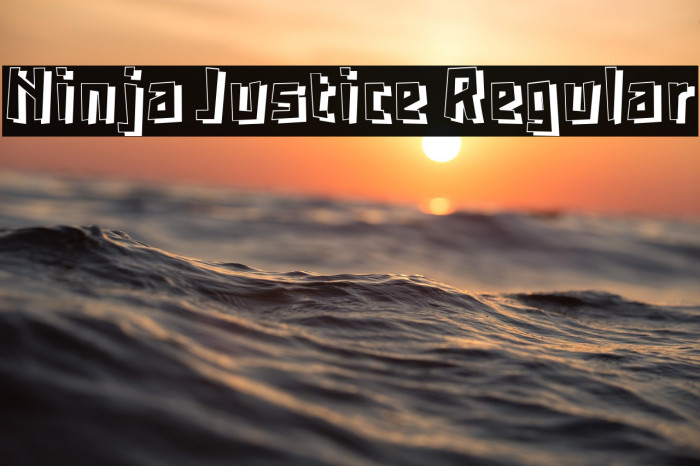 Ninja Justice Regular Example 3