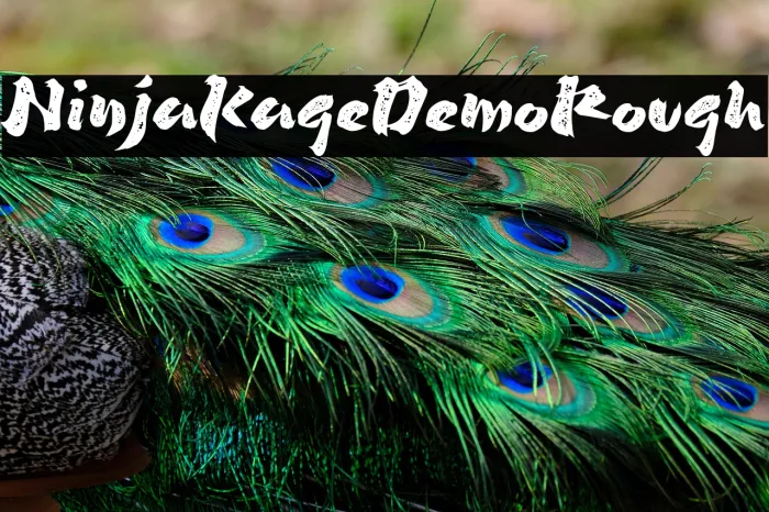 Ninja Kage Demo Rough Example 1