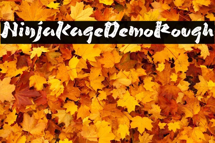 Ninja Kage Demo Rough Example 2