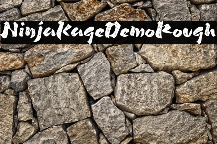 Ninja Kage Demo Rough Example 3