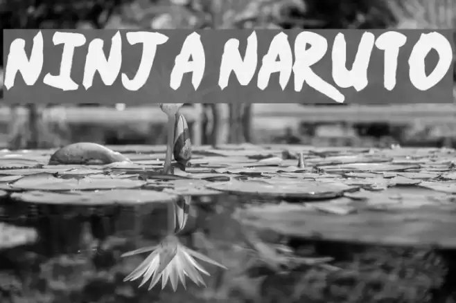 Ninja Naruto Font examples