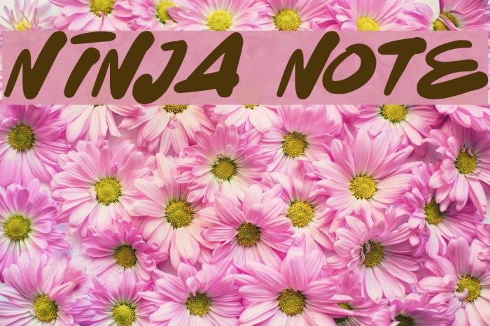 Ninja Note Example 2