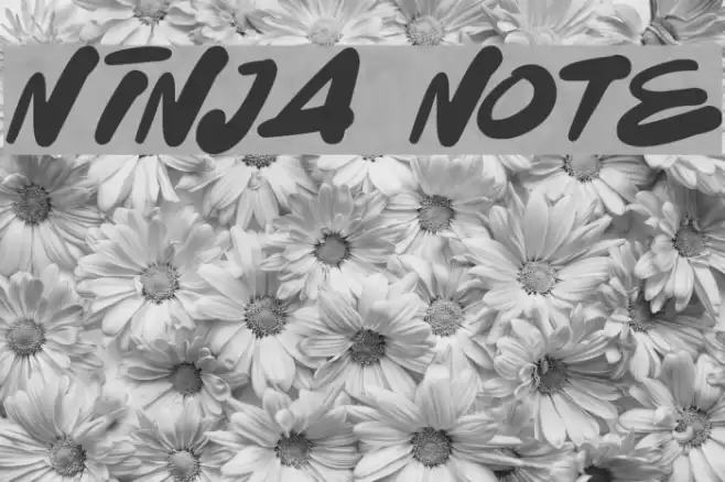 Ninja Note Font examples