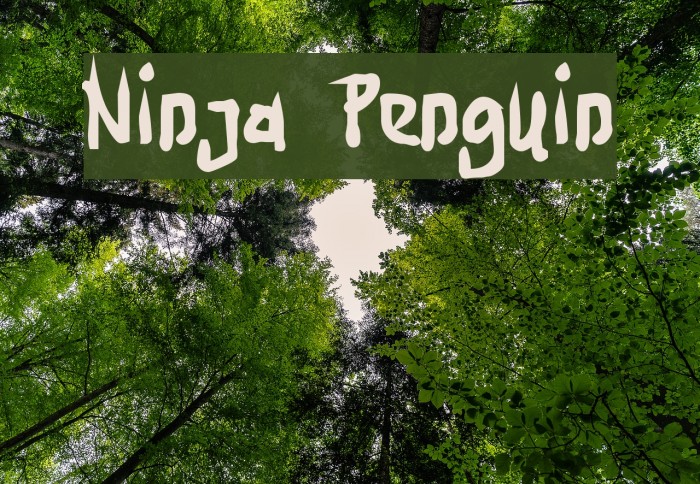 Ninja Penguin Font examples