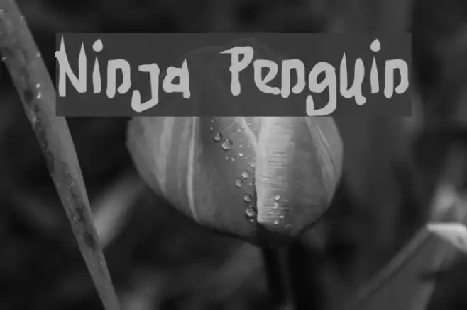 Ninja Penguin Font examples