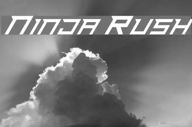 Ninja Rush Example 3