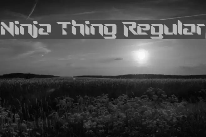 Ninja Thing Regular Font examples