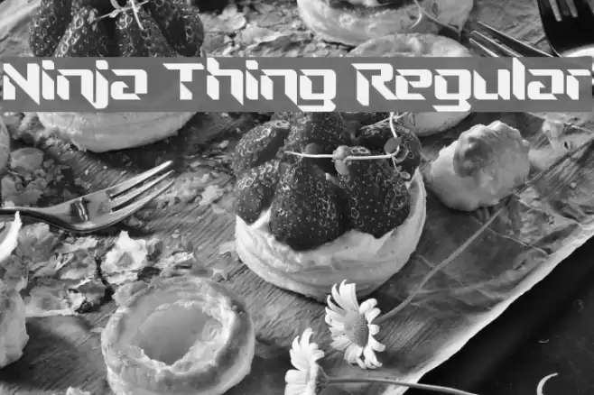 Ninja Thing Regular Font examples