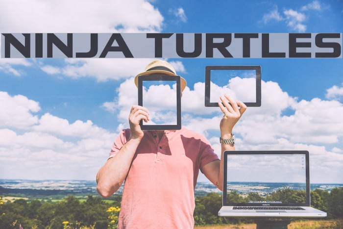 Ninja Turtles Font examples