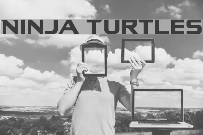Ninja Turtles Font examples
