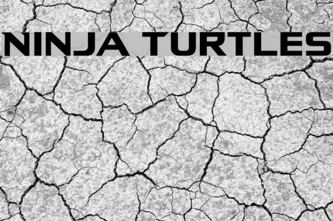 Ninja Turtles Font examples