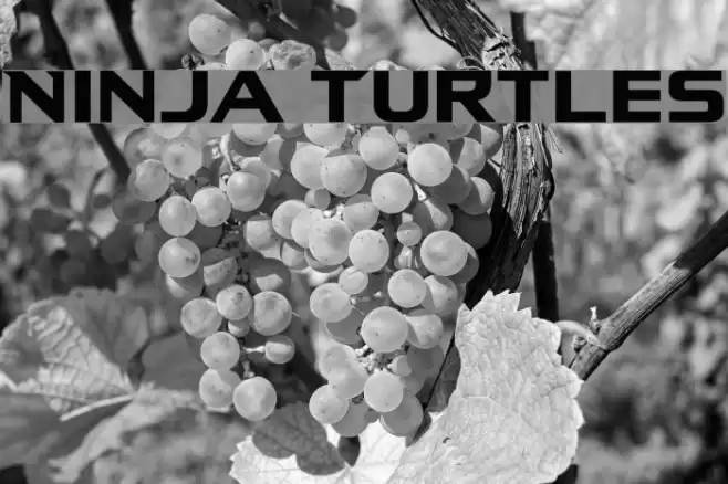 Ninja Turtles Font examples