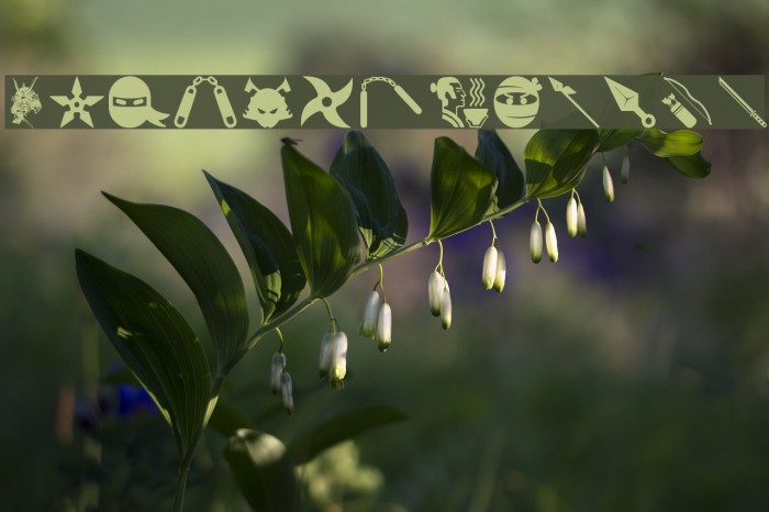 Ninja and Samurai Example 1