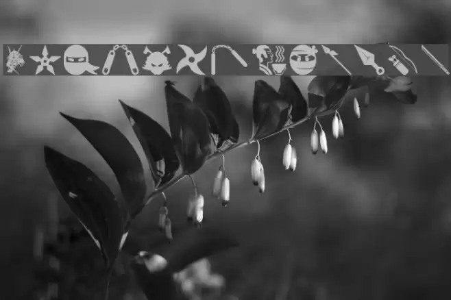 Ninja and Samurai Font examples