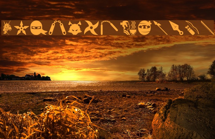 Ninja and Samurai Example 3