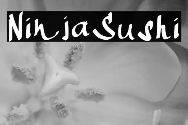 NinjaSushi Font examples