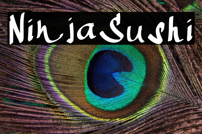 NinjaSushi Example 3