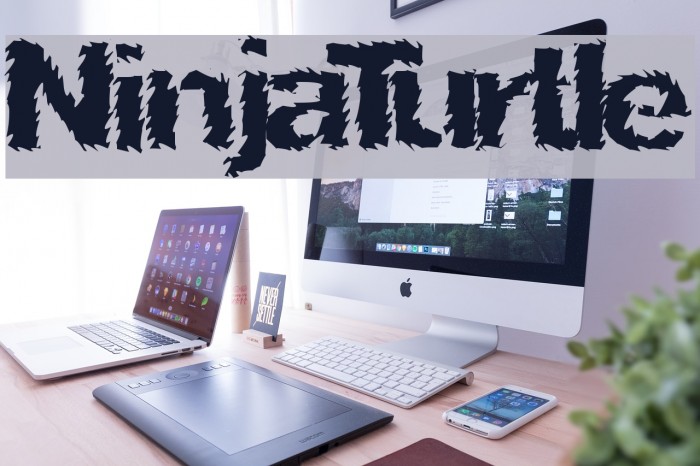 NinjaTurtle Font examples