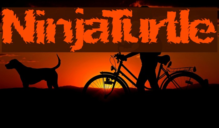 NinjaTurtle Font examples