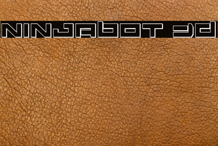 Ninjabot 3D Example 1