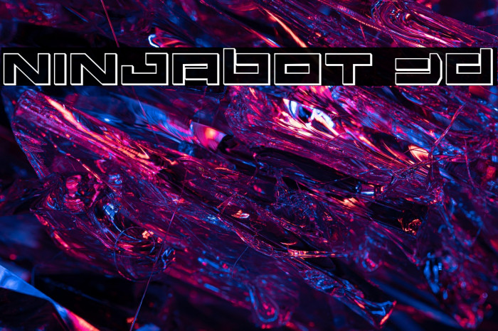 Ninjabot 3D Example 2