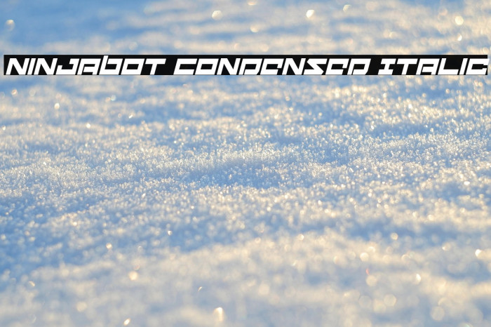 Ninjabot Condensed Italic Example 1