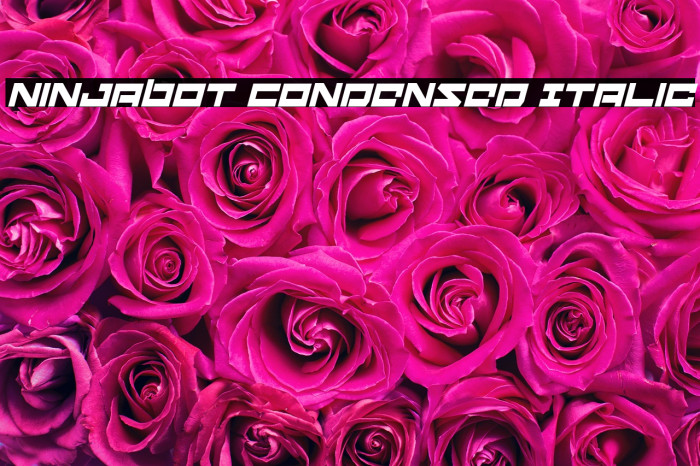 Ninjabot Condensed Italic Example 2