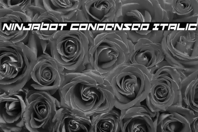 Ninjabot Condensed Italic Font examples