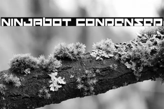 Ninjabot Condensed Шрифта examples