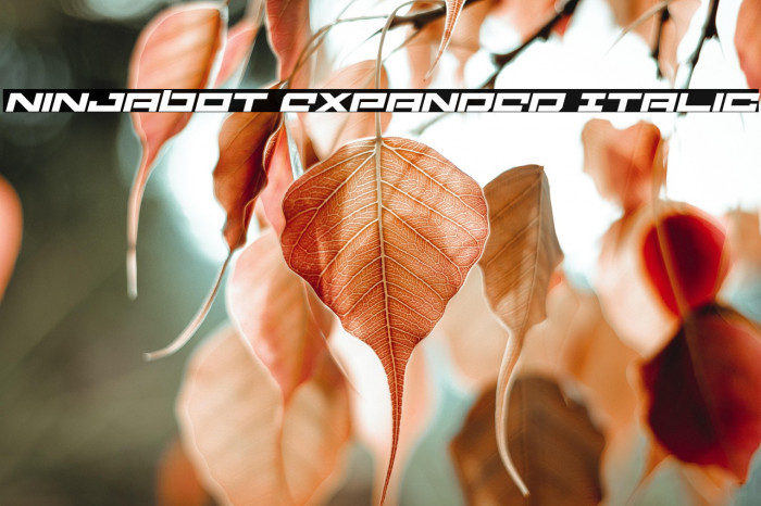 Ninjabot Expanded Italic Example 1