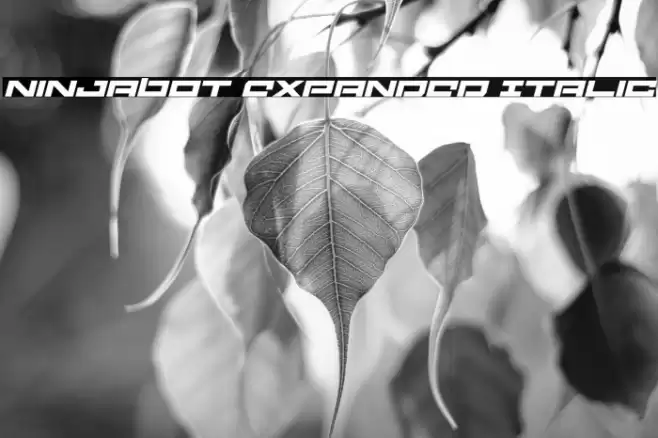 Ninjabot Expanded Italic Font examples