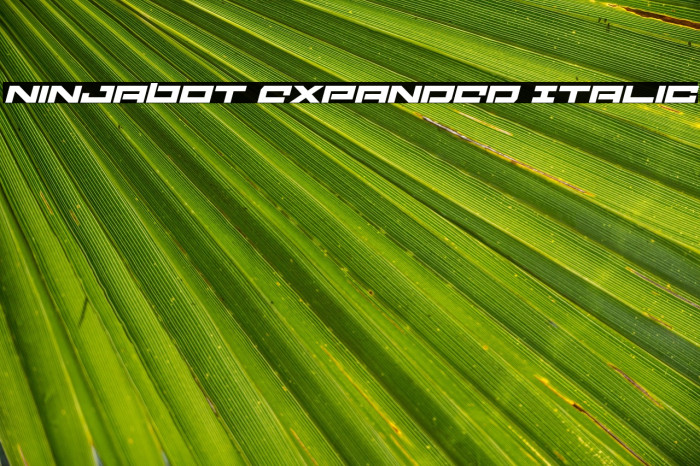 Ninjabot Expanded Italic Example 2
