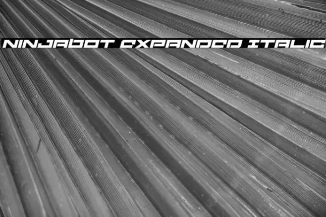 Ninjabot Expanded Italic Font examples