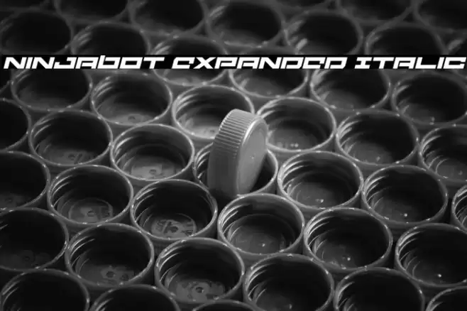 Ninjabot Expanded Italic Font examples
