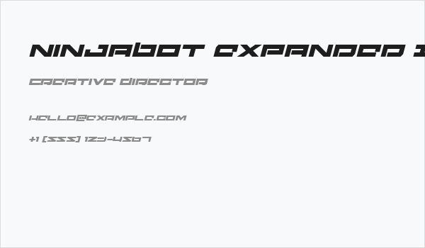 Ninjabot Expanded Italic Business Card