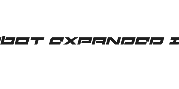 Ninjabot Expanded Italic Logo