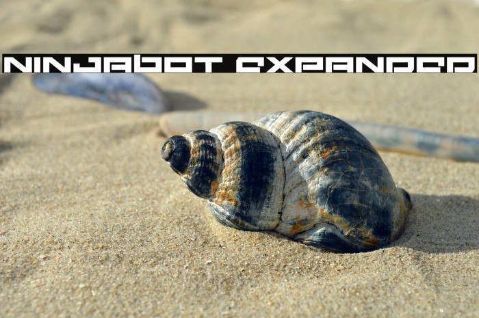 Ninjabot Expanded Example 1