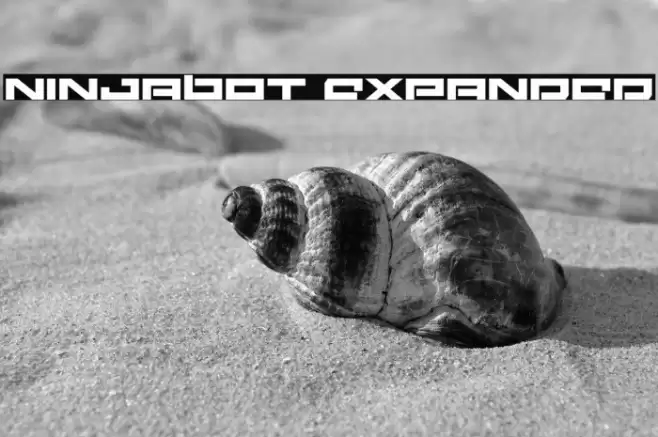 Ninjabot Expanded Font examples