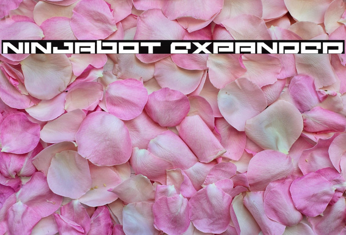 Ninjabot Expanded Example 2