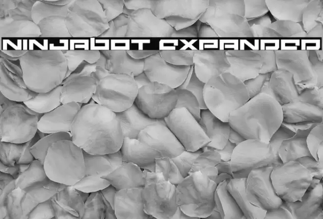 Ninjabot Expanded Font examples