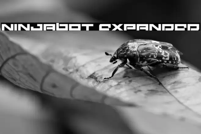 Ninjabot Expanded Font examples