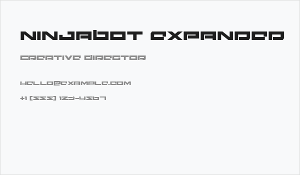 Ninjabot Expanded Business Card