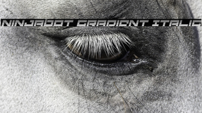 Ninjabot Gradient Italic Example 2