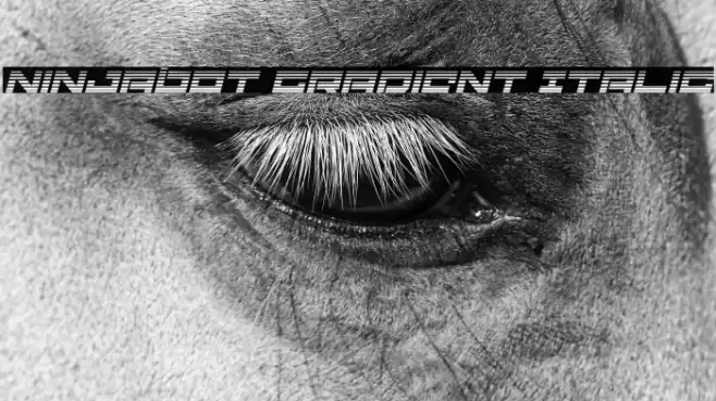 Ninjabot Gradient Italic Font examples