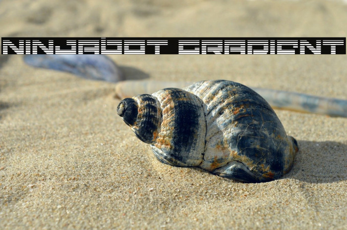 Ninjabot Gradient Example 1