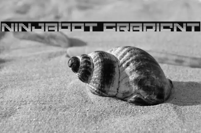 Ninjabot Gradient Font examples