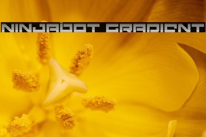 Ninjabot Gradient Example 2