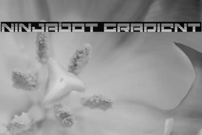 Ninjabot Gradient Font examples