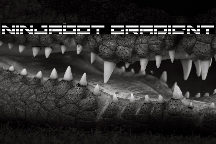 Ninjabot Gradient Example 3